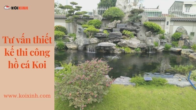 Dịch Vụ Thiết Kế Hồ Cá Koi Tại Hà Nội – Lợi ích Hồ Cá Koi Dịch Vụ Thiết Kế Hồ Cá Koi Tại Hà Nội – Lợi ích Hồ Cá Koi