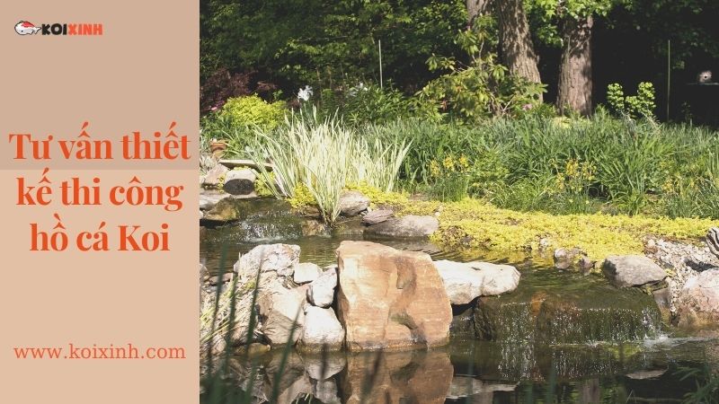 Dịch Vụ Thiết Kế Hồ Cá Koi Tại Hà Nội – Lợi ích Hồ Cá Koi Dịch Vụ Thiết Kế Hồ Cá Koi Tại Hà Nội – Lợi ích Hồ Cá Koi