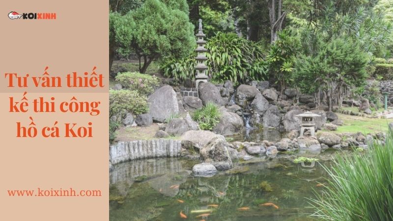 Dịch Vụ Thiết Kế Hồ Cá Koi Tại Hà Nội – Lợi ích Hồ Cá Koi Dịch Vụ Thiết Kế Hồ Cá Koi Tại Hà Nội – Lợi ích Hồ Cá Koi