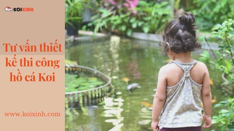 Dịch Vụ Thiết Kế Hồ Cá Koi Tại Hà Nội – Lợi ích Hồ Cá Koi Dịch Vụ Thiết Kế Hồ Cá Koi Tại Hà Nội – Lợi ích Hồ Cá Koi