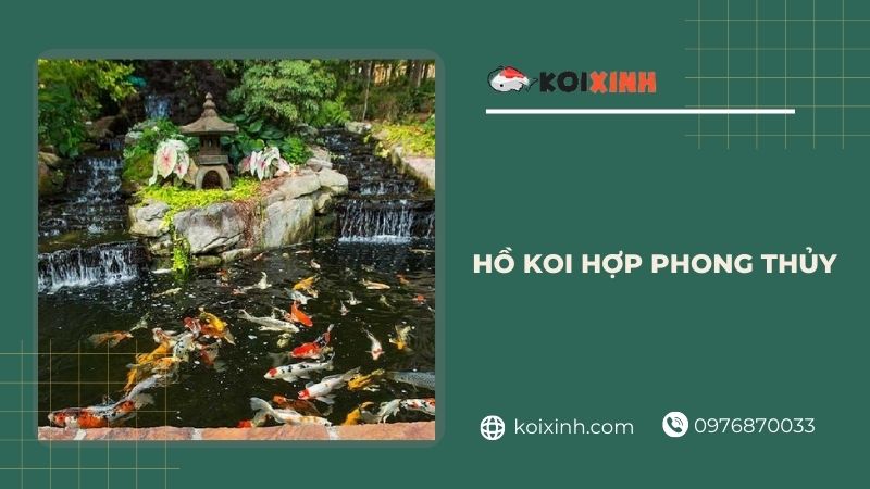 Hồ Koi Hợp Phong Thủy – Thi Công, Thiết Kế Hồ Cá Koi đẹp Tại Hà Nội – Hotline 0976870033