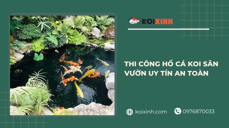 Thi Công Hồ Cá Koi Sân Vườn Uy Tín An Toàn – Bảo Hành Dài Hạn – Hotline 0976870033