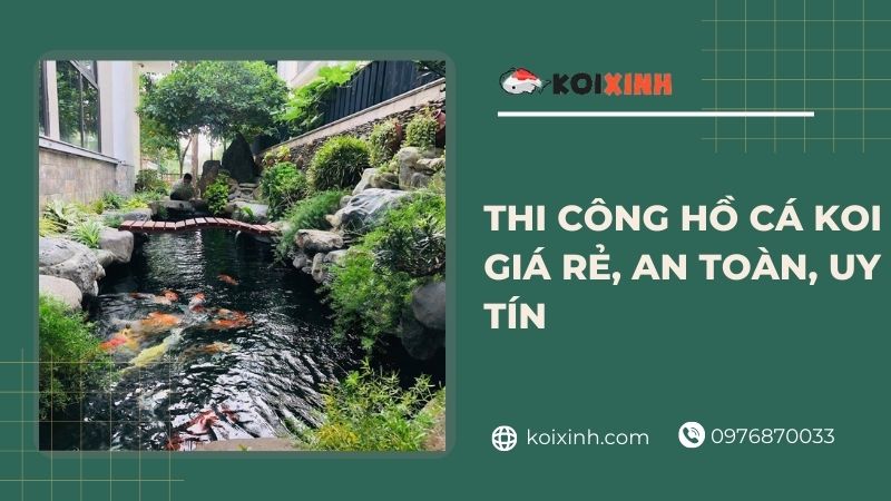 Báo Giá Hồ Cá Koi – Thi Công Giá Rẻ, An Toàn, Uy Tín – Hotline 0976870033