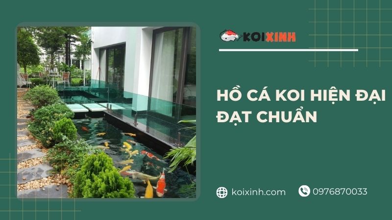 Hồ Cá Koi Hiện đại đạt Chuẩn – Thi Công, Thiết Kế Hồ Cá Koi Tại Hà Nội