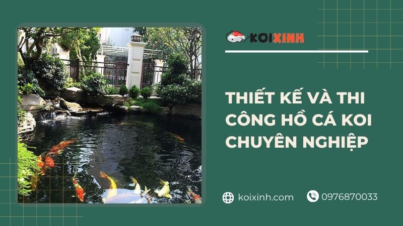 Thiết Kế Và Thi Công Hồ Cá Koi Chuyên Nghiệp Tại Hà Nội, Thái Bình, Lào Cai, Uy Tín, Chất Lượng – Gọi 0976870033
