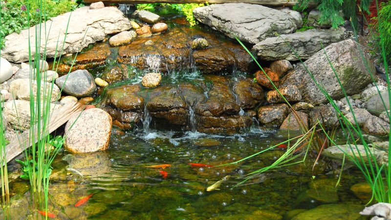 6 Kinh Nghiệm Thiết Kế Hồ Cá Koi Sân Vườn đẹp Bạn Nên Biết 6 Kinh Nghiệm Thiết Kế Hồ Cá Koi Sân Vườn đẹp Bạn Nên Biết