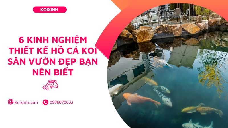 6 Kinh Nghiệm Thiết Kế Hồ Cá Koi Sân Vườn đẹp Bạn Nên Biết