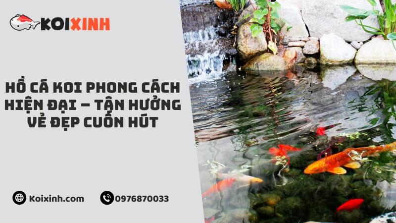 Hồ Cá Koi Phong Cách Hiện Đại – Tận Hưởng Vẻ Đẹp Cuốn Hút