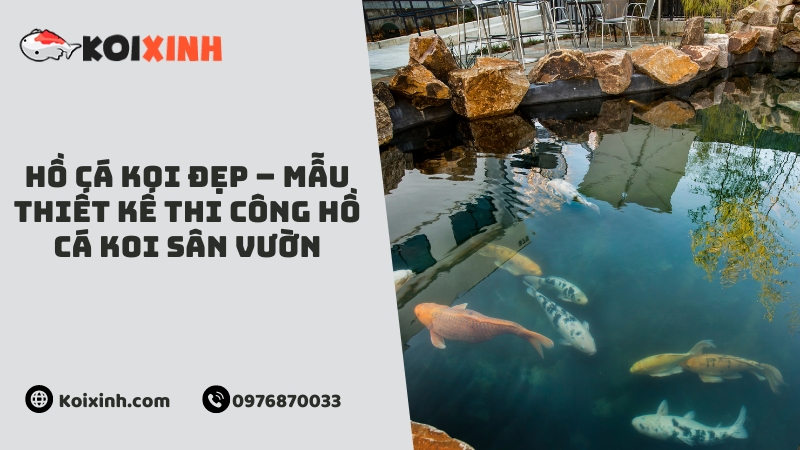 Hồ cá Koi đẹp – mẫu thiết kế thi công hồ cá Koi sân vườn