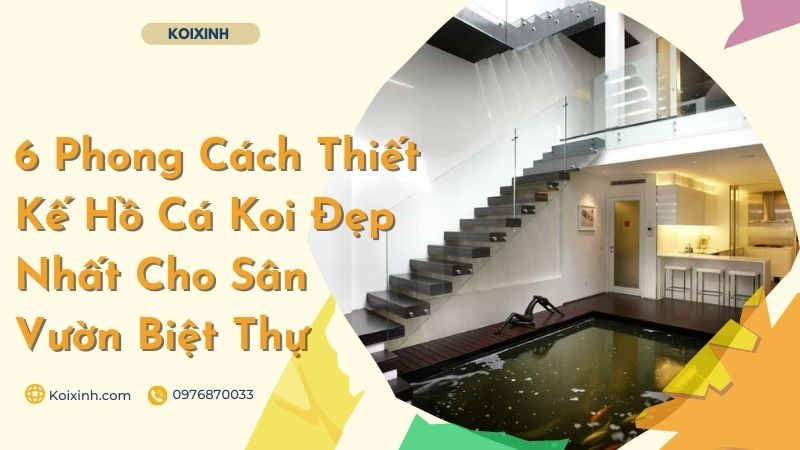 6 Phong Cách Thiết Kế Hồ Cá Koi Đẹp Nhất Cho Sân Vườn Biệt Thự