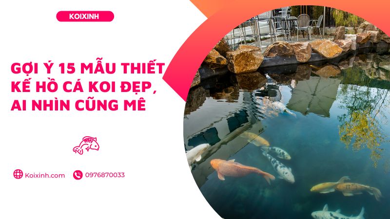 Gợi ý 15 Mẫu Thiết Kế Hồ Cá Koi đẹp, Ai Nhìn Cũng Mê