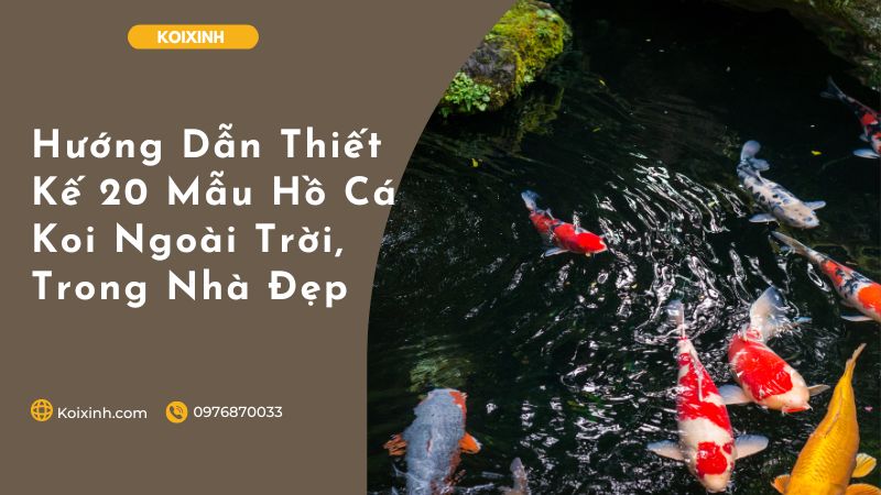 Hướng Dẫn Thiết Kế 20 Mẫu Hồ Cá Koi Ngoài Trời, Trong Nhà Đẹp