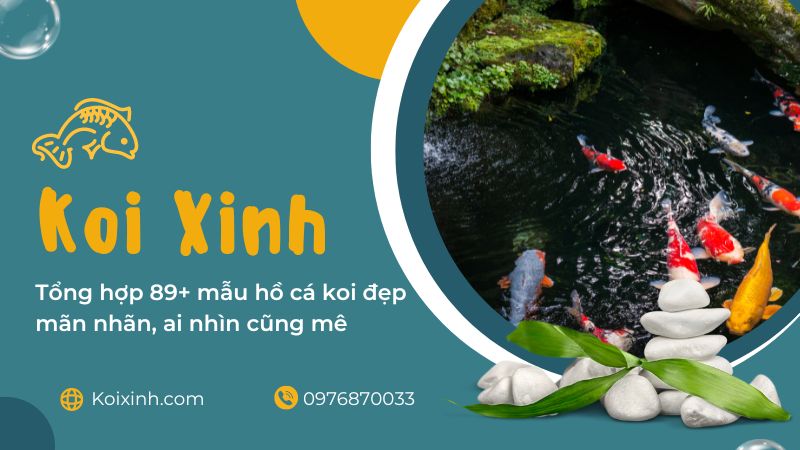 Tổng Hợp 89+ Mẫu Hồ Cá Koi đẹp Mãn Nhãn, Ai Nhìn Cũng Mê