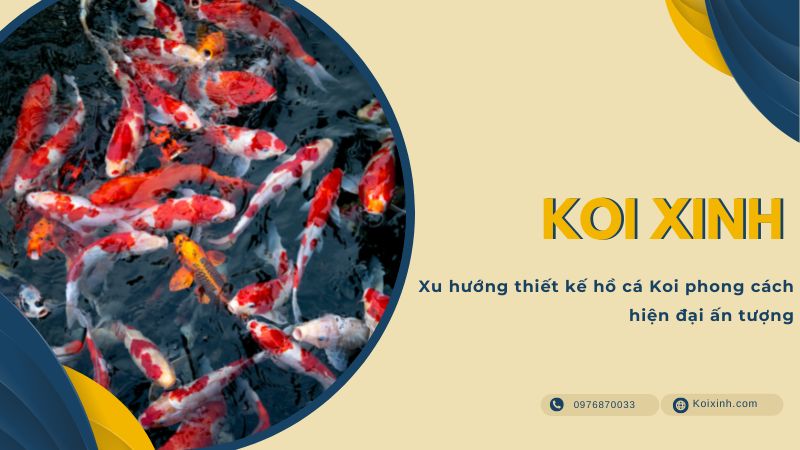 Xu Hướng Thiết Kế Hồ Cá Koi Phong Cách Hiện đại ấn Tượng