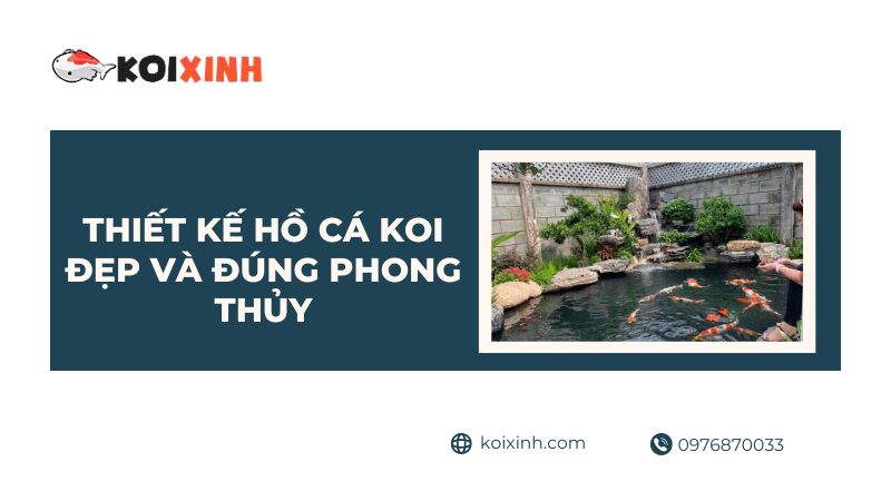Hướng Dẫn Chi Tiết Thiết Kế Hồ Cá Koi đẹp Và đúng Phong Thủy