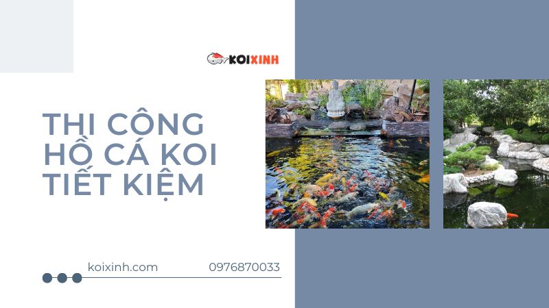 3 điều Cần Ghi Nhớ để Thi Công Hồ Cá Koi Tiết Kiệm