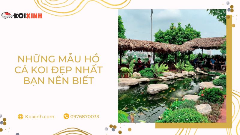 Những Mẫu Hồ Cá Koi đẹp Nhất Bạn Nên Biết