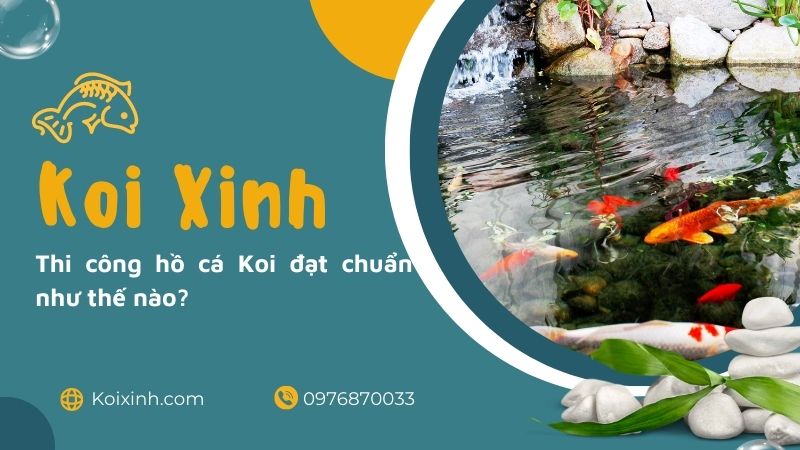 Thi Công Hồ Cá Koi đạt Chuẩn Như Thế Nào?