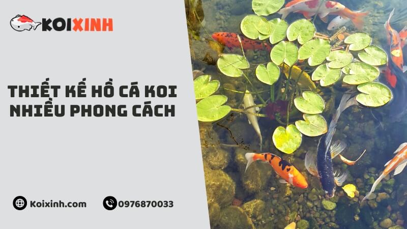 Thiết Kế Hồ Cá Koi Nhiều Phong Cách