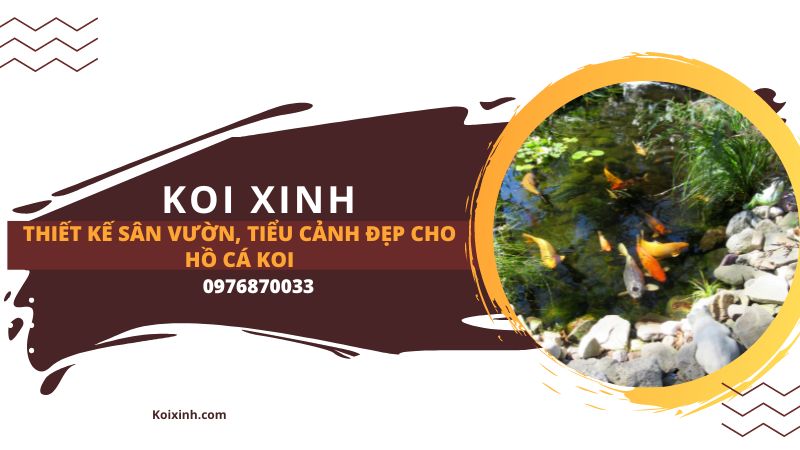Thiết Kế Sân Vườn, Tiểu Cảnh đẹp Cho Hồ Cá Koi