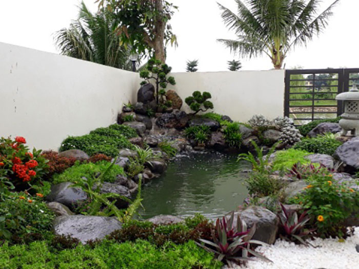 Tổng Hợp 89+ Mẫu Hồ Cá Koi đẹp Mãn Nhãn, Ai Nhìn Cũng Mê