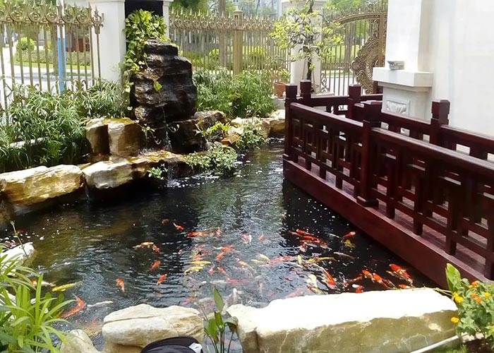 Tổng Hợp 89+ Mẫu Hồ Cá Koi đẹp Mãn Nhãn, Ai Nhìn Cũng Mê