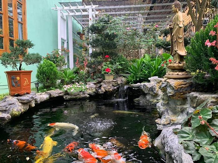 Tổng Hợp 89+ Mẫu Hồ Cá Koi đẹp Mãn Nhãn, Ai Nhìn Cũng Mê