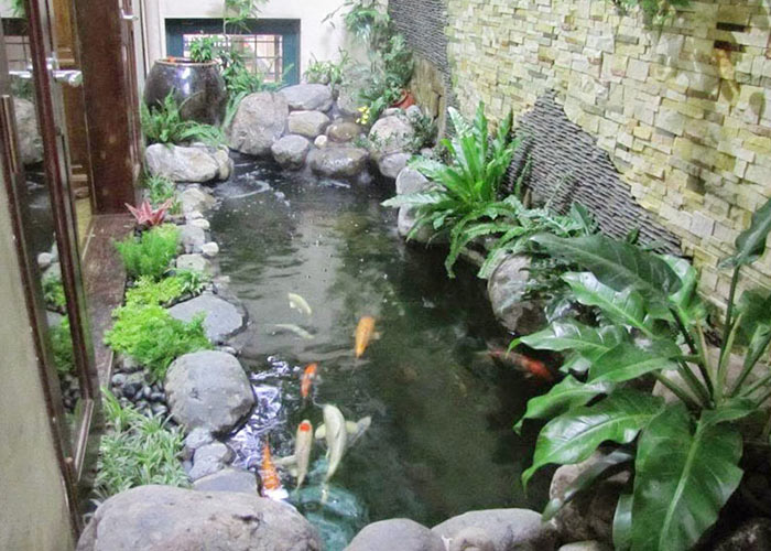 Tổng Hợp 89+ Mẫu Hồ Cá Koi đẹp Mãn Nhãn, Ai Nhìn Cũng Mê Tổng Hợp 89+ Mẫu Hồ Cá Koi đẹp Mãn Nhãn, Ai Nhìn Cũng Mê