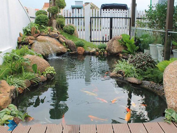 Xem 50 Mẫu Thiết Kế Làm Hồ Cá Koi Đẹp Được Yêu Thích Nhất. Xem 50 Mẫu Thiết Kế Làm Hồ Cá Koi Đẹp Được Yêu Thích Nhất.