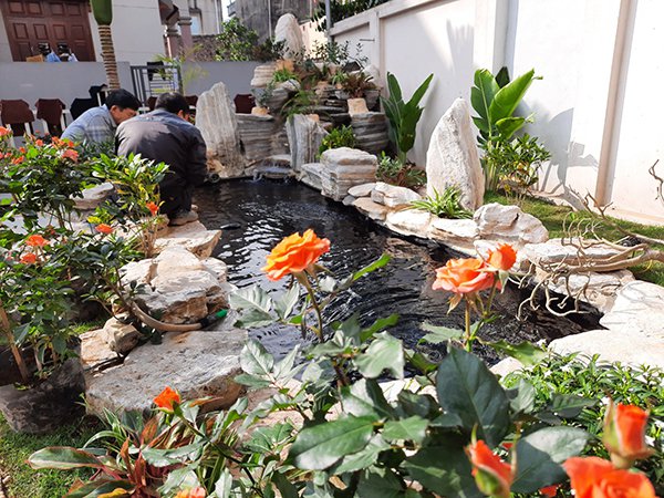 Xem 50 Mẫu Thiết Kế Làm Hồ Cá Koi Đẹp Được Yêu Thích Nhất. Xem 50 Mẫu Thiết Kế Làm Hồ Cá Koi Đẹp Được Yêu Thích Nhất.