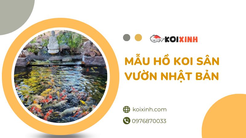 Những Mẫu Hồ Koi Sân Vườn Nhật Bản Đẹp Nhất Hiện Nay