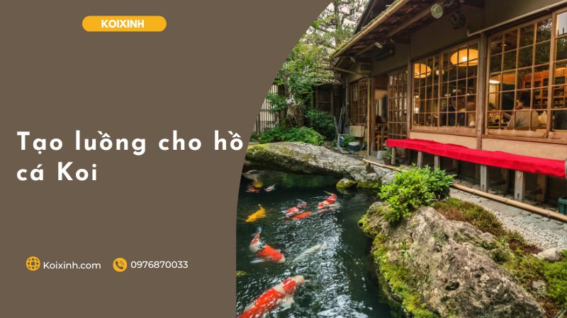 Tạo Luồng Cho Hồ Cá Koi Nhà Bạn