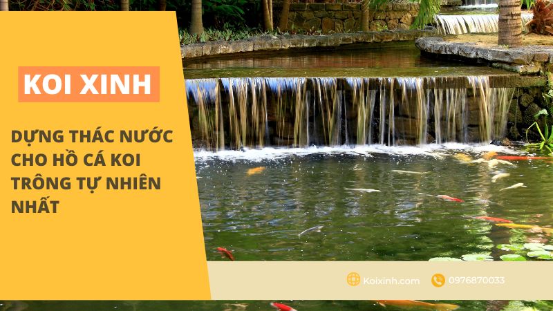 Dựng Thác Nước Cho Hồ Cá Koi Sao Cho Tự Nhiên Nhất