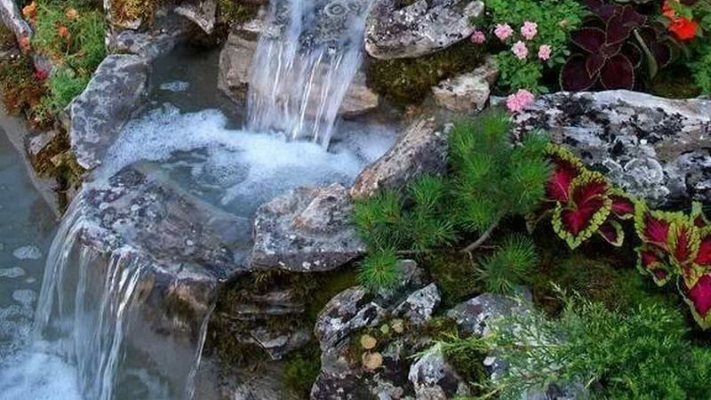 Dựng Thác Nước Cho Hồ Cá Koi Sao Cho Tự Nhiên Nhất Dựng Thác Nước Cho Hồ Cá Koi Sao Cho Tự Nhiên Nhất