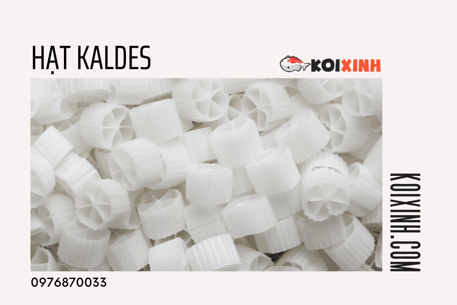 13 Loại Vật Liệu Lọc Nên Dùng Cho Hồ Cá Koi 13 Loại Vật Liệu Lọc Nên Dùng Cho Hồ Cá Koi