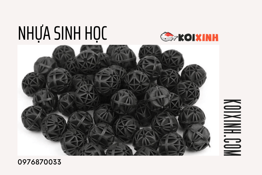 13 Loại Vật Liệu Lọc Nên Dùng Cho Hồ Cá Koi 13 Loại Vật Liệu Lọc Nên Dùng Cho Hồ Cá Koi