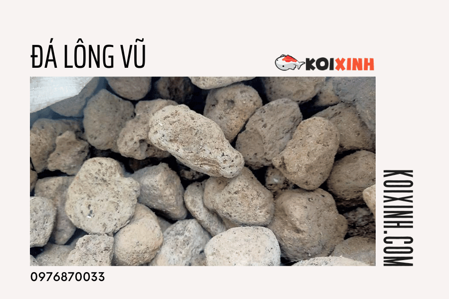 13 Loại Vật Liệu Lọc Nên Dùng Cho Hồ Cá Koi 13 Loại Vật Liệu Lọc Nên Dùng Cho Hồ Cá Koi