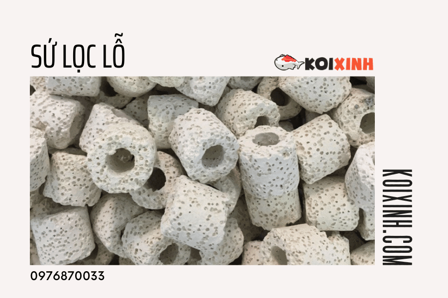 13 Loại Vật Liệu Lọc Nên Dùng Cho Hồ Cá Koi 13 Loại Vật Liệu Lọc Nên Dùng Cho Hồ Cá Koi