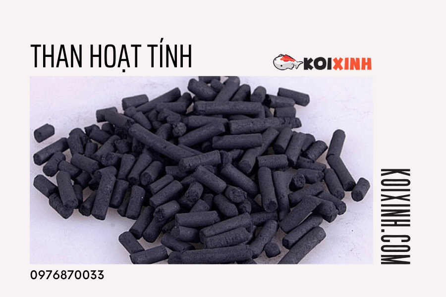 13 Loại Vật Liệu Lọc Nên Dùng Cho Hồ Cá Koi 13 Loại Vật Liệu Lọc Nên Dùng Cho Hồ Cá Koi