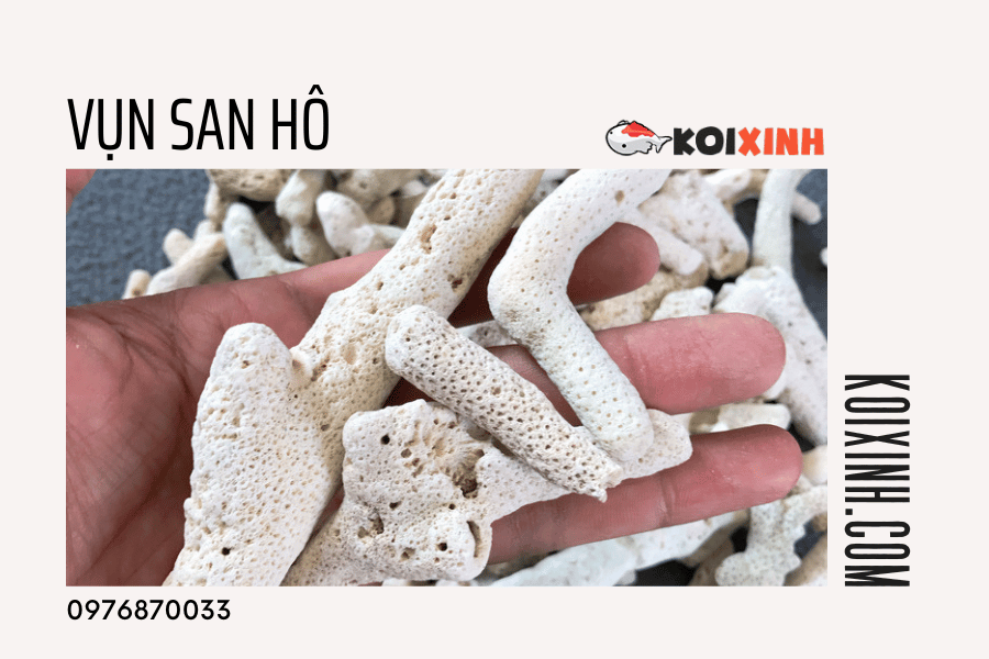 13 Loại Vật Liệu Lọc Nên Dùng Cho Hồ Cá Koi 13 Loại Vật Liệu Lọc Nên Dùng Cho Hồ Cá Koi