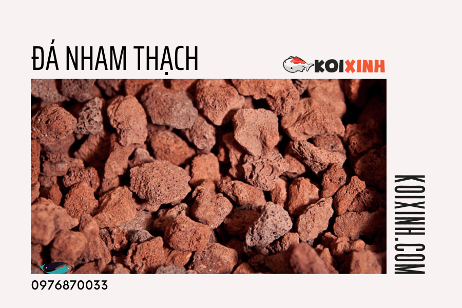 13 Loại Vật Liệu Lọc Nên Dùng Cho Hồ Cá Koi 13 Loại Vật Liệu Lọc Nên Dùng Cho Hồ Cá Koi