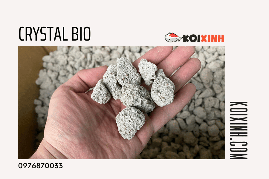 13 Loại Vật Liệu Lọc Nên Dùng Cho Hồ Cá Koi 13 Loại Vật Liệu Lọc Nên Dùng Cho Hồ Cá Koi