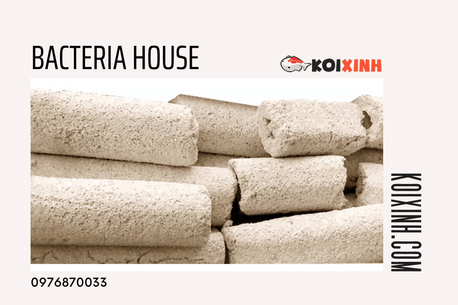 13 Loại Vật Liệu Lọc Nên Dùng Cho Hồ Cá Koi 13 Loại Vật Liệu Lọc Nên Dùng Cho Hồ Cá Koi