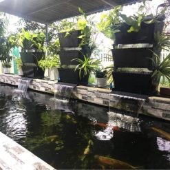 Hệ thống lọc sàn mưa Bakki Shower cho hồ cá Koi