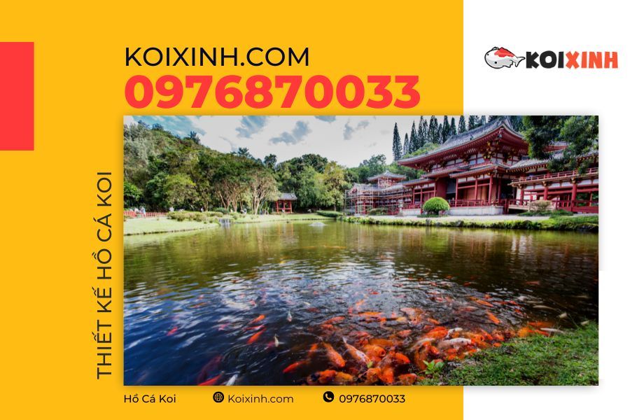 Hồ cá Koi đạt tiêu chuẩn cần đáp ứng được những tiêu chí gì? Hồ cá Koi đạt tiêu chuẩn cần đáp ứng được những tiêu chí gì?