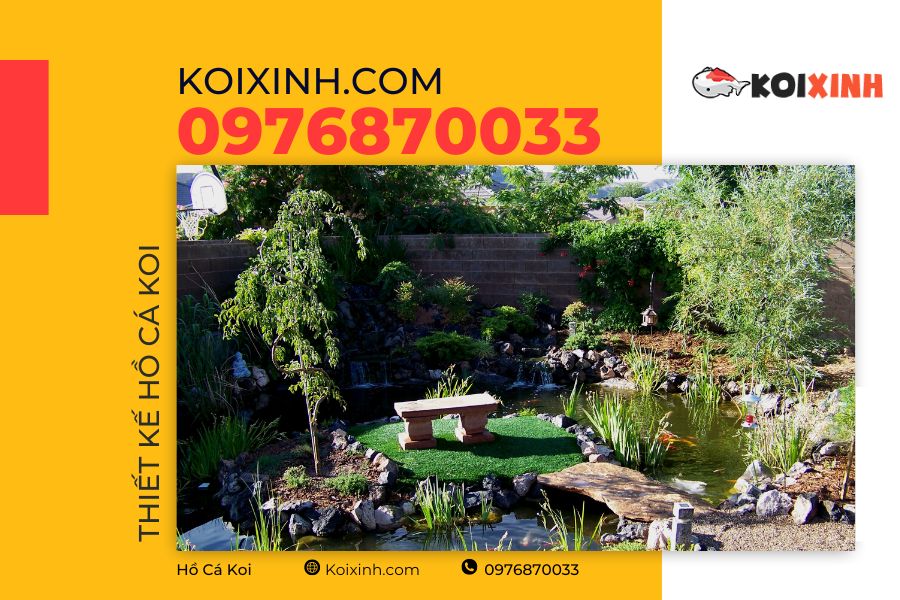 Hồ cá Koi đạt tiêu chuẩn cần đáp ứng được những tiêu chí gì? Hồ cá Koi đạt tiêu chuẩn cần đáp ứng được những tiêu chí gì?