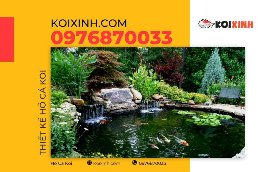 Hồ cá Koi đạt tiêu chuẩn cần đáp ứng được những tiêu chí gì? Hồ cá Koi đạt tiêu chuẩn cần đáp ứng được những tiêu chí gì?