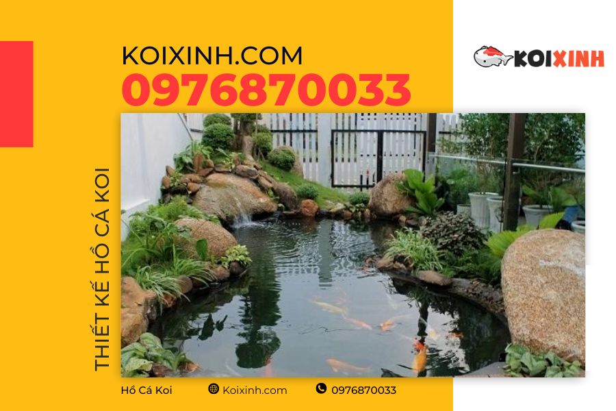 Hồ cá Koi đạt tiêu chuẩn cần đáp ứng được những tiêu chí gì? Hồ cá Koi đạt tiêu chuẩn cần đáp ứng được những tiêu chí gì?
