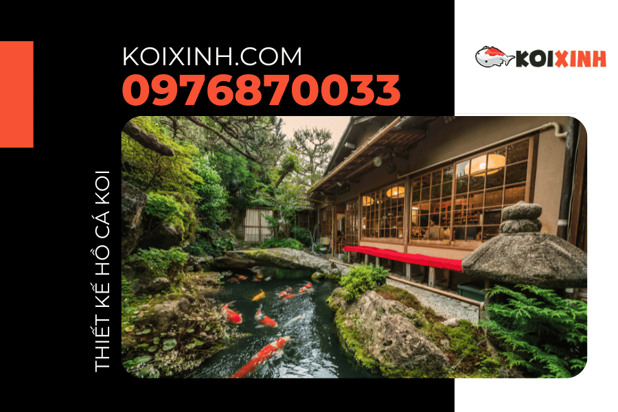 Một số dự án và phong cách hồ Cá Koi mà Koixinh.com đã tư vấn, thiết kế, triển khai. Một số dự án và phong cách hồ Cá Koi mà Koixinh.com đã tư vấn, thiết kế, triển khai.