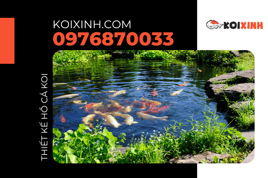 Ý nghĩa của thiết kế hồ cá Koi kết hợp với cảnh quan sân vườn Ý nghĩa của thiết kế hồ cá Koi kết hợp với cảnh quan sân vườn